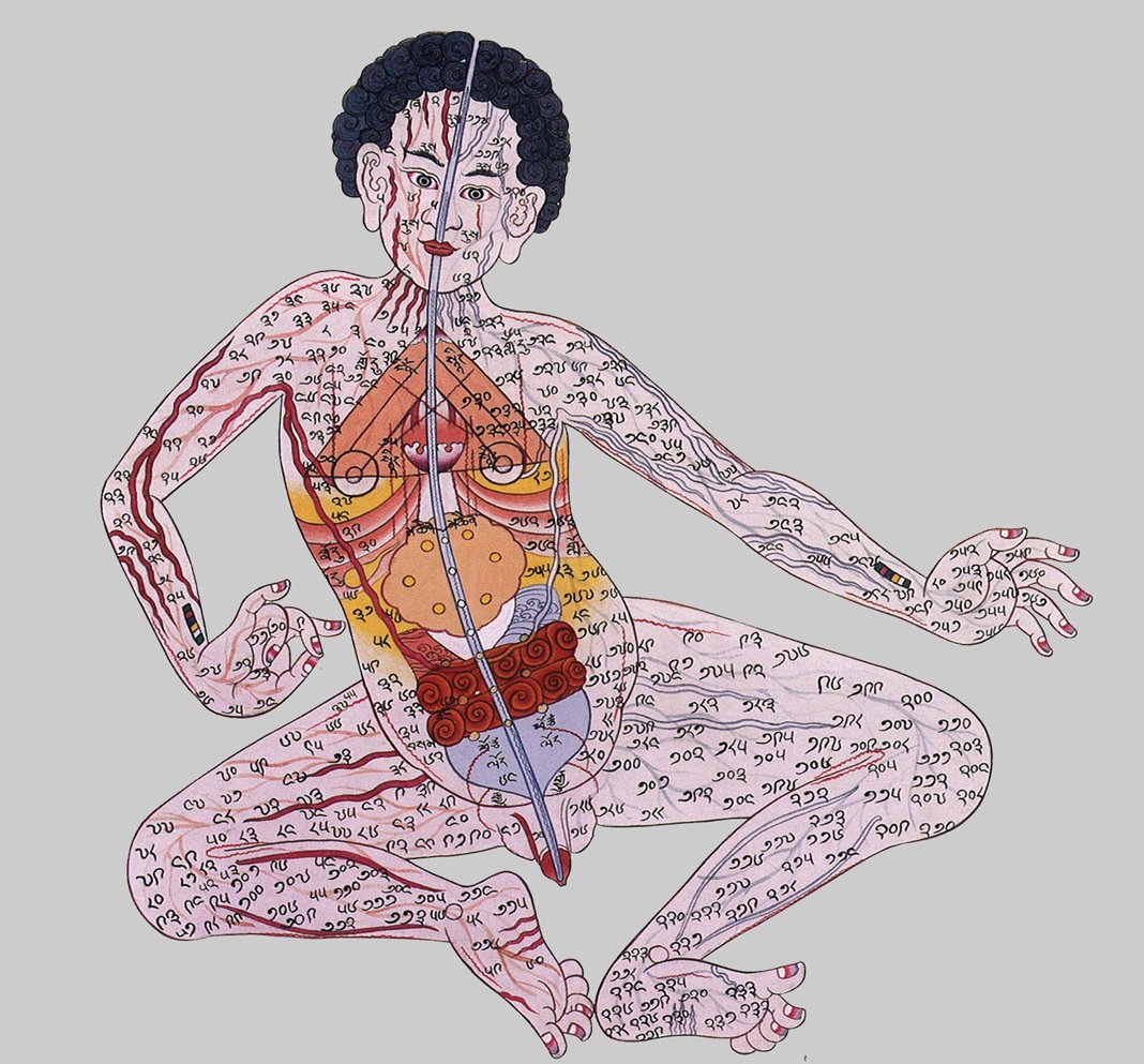 A meditative figure with the seven chakra centres illuminated