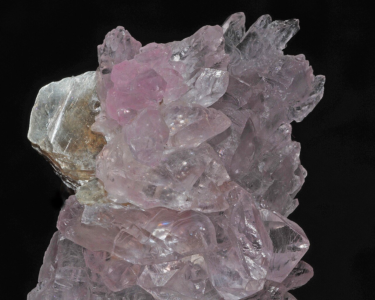 Reiki Cocoon of Love