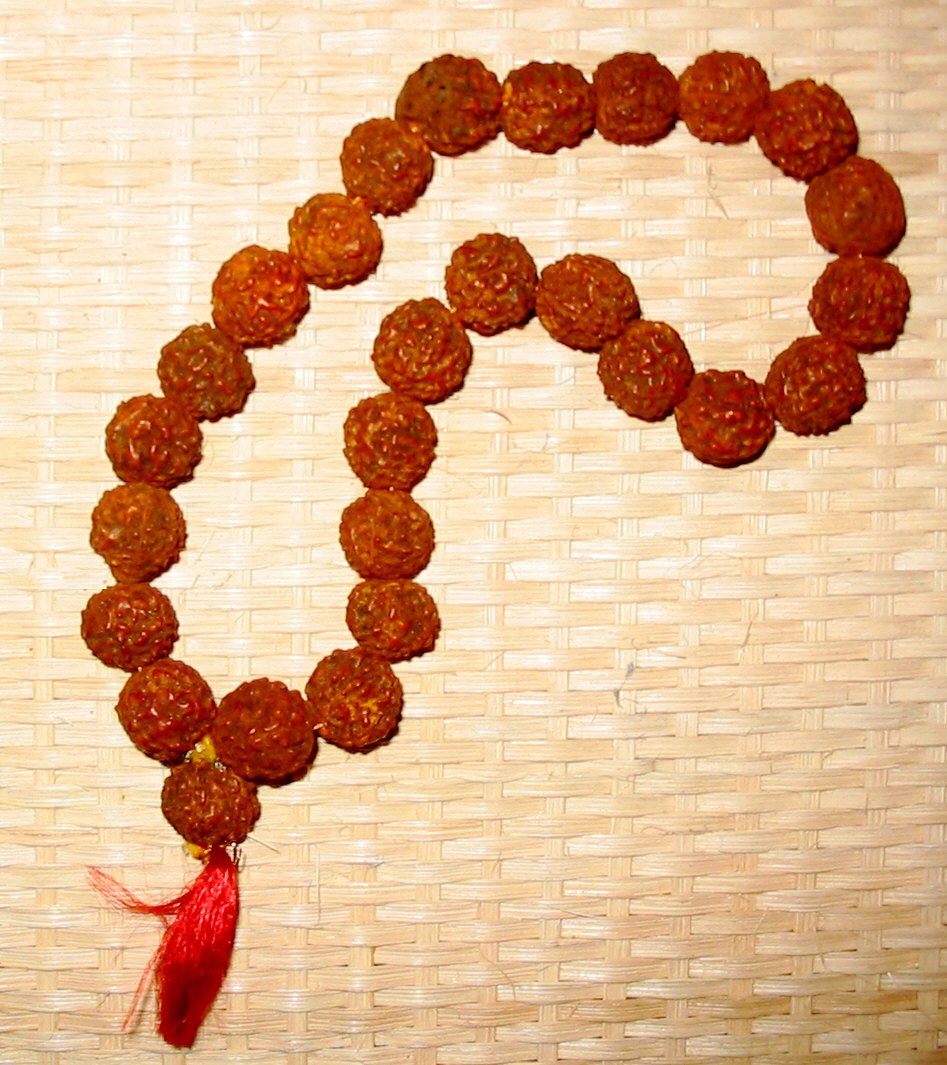 Rudraksha consultation with Dr. Bhavi Bhatt